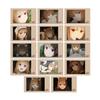 TV Anime Wolf and Spices Merchant Meets The Wise Wolf Trading Holo Scene Instant Camera Illustration Cards Box of 14 view 1