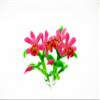 1:12 Miniature Cattleya Orchid 2 Bunch Clay Flower Fairy Garden Dollhouse 17198, Pink view 1