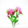1:12 Miniature Cattleya Orchid 2 Bunch Clay Flower Fairy Garden Dollhouse 17194, Purple-Pink view 1