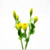 1:12 Miniature Yellow Rose 2 Bunch Clay Flower Fairy Garden Dollhouse 17175, Yellow view 1