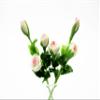 1:12 Miniature White-Pink Rose 2 Bunch Clay Flower Fairy Garden Dollhouse 17176, White-Pink view 1