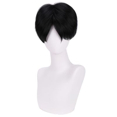 WAVELNM Natural Black Wigs for Mens Straight Black Wig Cosplay Wig Daily Halloween Costume Synthetic Wigs(Small Head)