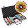 Playzaic 300-piece Aluminum Black Diamond Poker Chip Case - 14-gram Heavy Clay Composite Set - Casino Chips for Texas Holdem, Blackjack - Betting Game Accessories view 1