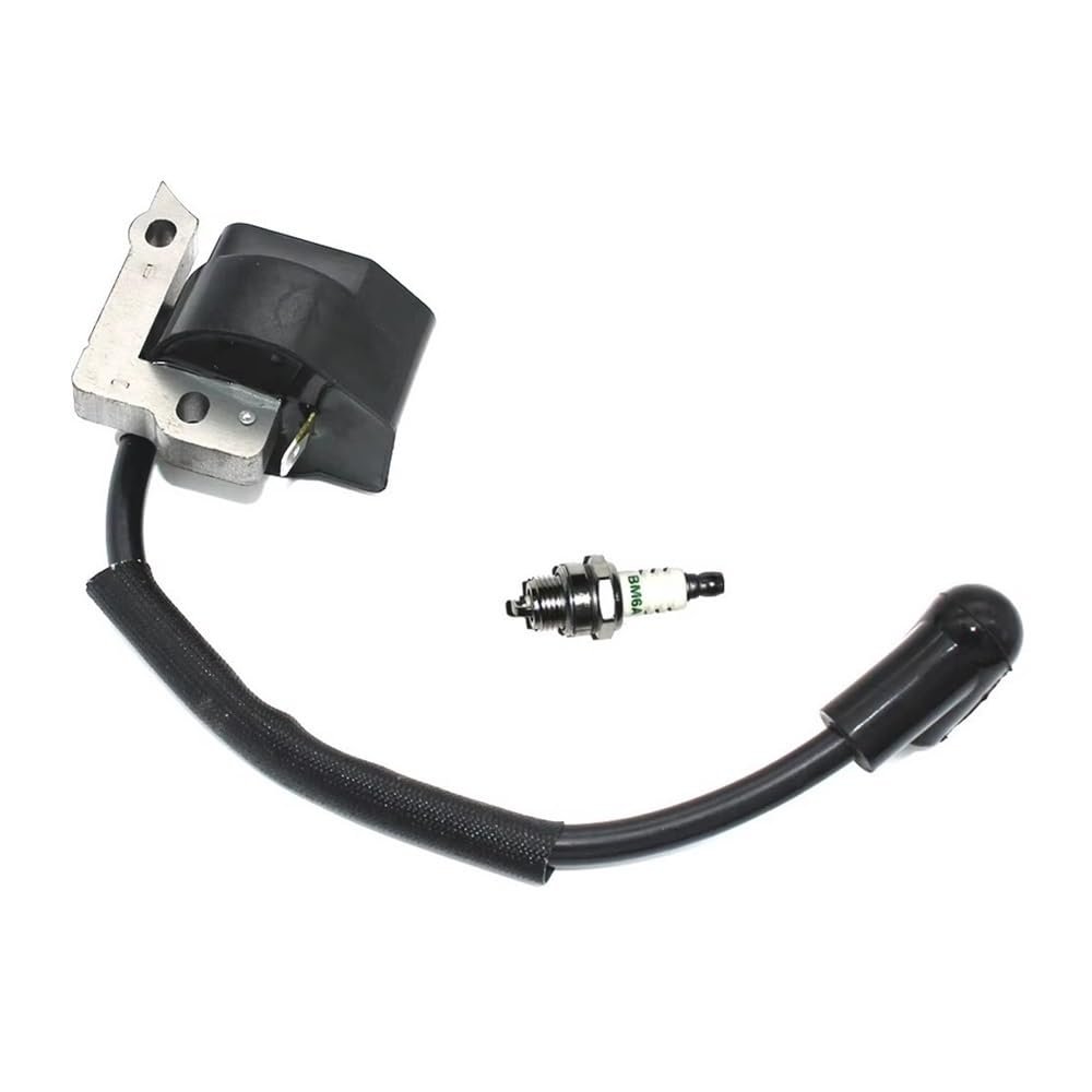 Fit For Ignition Coil Module Spark Plug BM6A LT-30 MS-30 MS-31 DST300 DBC300 Parts369143010
