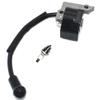 Fit For Ignition Coil Module Spark Plug BM6A LT-30 MS-30 MS-31 DST300 DBC300 Parts369143010 view 3