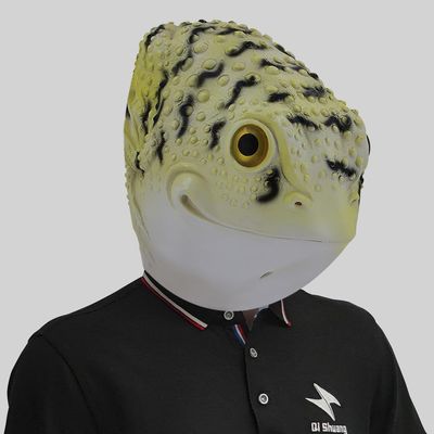Halloween Frog Head Mask,Realistic Toad Masks,Spoof Animal Masks Fancy Dress for Halloween Carnival Costume Party,Toad Cosplay Costume