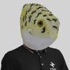Halloween Frog Head Mask,Realistic Toad Masks,Spoof Animal Masks Fancy Dress for Halloween Carnival Costume Party,Toad Cosplay Costume view 1