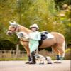 LeMieux Hobby Horse Popcorn - Detachable Pole - Realistic Head - Perfect for Kids view 3