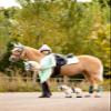 LeMieux Hobby Horse Popcorn - Detachable Pole - Realistic Head - Perfect for Kids view 4