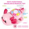 Baby Toys 6 to 12 Months, Light Up Tummy Time Toy for 12-18 Months, Crawling Axolotl Early Educational Musical Toy with Light, Christmas Birthday Gifts for Infant Baby 6-12 Month 1 2 Year Old view 2