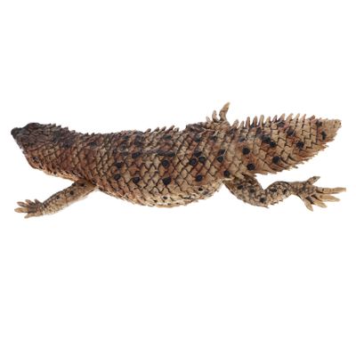 BRIGHTFUFU Realistic Plastic Lizard Model Lizard Statue Lightweight Artificial Reptile Figurine for Nursery Room Bedroom Decoration Safe Sturdy Material