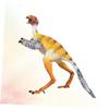 Hohopeti Simulation Sinosauropteryx Dinosaur Model Plastic Bird for Boys Realistic Craftsmanship Educational Collectible view 2