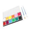 shenruifa 12 Colors Body Face Paint Water Based Halloween Party Ball Game Fan DIY Fancy Makeup Pigment view 3