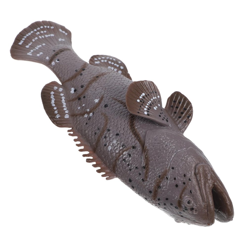 Beaupretty Realistic Grouper Fish Figurine Plastic Simulation Model for Aquarium Decoration Lightweight Artificial Sea Fish for Educational Biology Learning