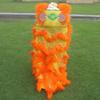 14 Inch Lion Dance Mascot Costume Chinese Traditional Dragon and Lion Dance for 5-12 Age Party Carnival Festivall view 4