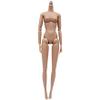 1/6 Scale Action Figure, Multi Jointed Movable Female Action Figure Body for Display Collection Blank Custom Figures Body Custom view 1