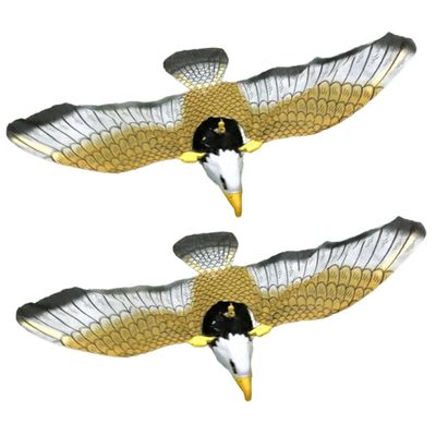 LIOOBO 2Pcs Electric Bird Shaped Music for Safe Non Toxic Hanging Playthings with Bright Colors and Smooth Edges Childrens Educational Gift to Encourage Active Play and Reduce Screen