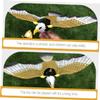 Abaodam 2Pcs Music Portable Childrens Hanging Simulation Bird for Beginners Stimulating Curiosity and Imagination Safe Plastic Material view 4