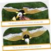 FRCOLOR 2Pcs Electronic Eagle Music for Safe Plastic Hanging Playthings for Boys and Smooth Polished Childrens Gift Interesting Bird view 4