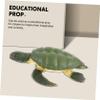 Beaupretty Realistic Tortoise Model Plastic Educational Simulation Turtle Figurine for Indoor Decoration and Collection view 4
