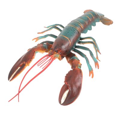 Abaodam Realistic Simulation Lobster Model Plastic Artificial Lobster Figure for Nature Exploration Education Aquarium Decoration and Party Display