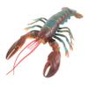 Abaodam Realistic Simulation Lobster Model Plastic Artificial Lobster Figure for Nature Exploration Education Aquarium Decoration and Party Display view 1