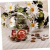 Abaodam Glass Piggy Bank Fortune Cat Design Smooth Wear Resistant Money Jar for Adults and Decorative Coin Saving Box Gift view 4