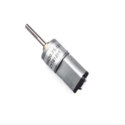 1pc High Torque DC 030 Gear Motor - 6-12V Reversible All-Metal Brush Motor for Electric Locks, 160 RPM, Customizable