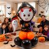 10pcs 12inch Black Orange Latex Balloons Party Theme Halloween Balloons Decor for Baby Shower Wedding Anniversary Halloween Baby Birthday Party Decorations (Ghost) view 3