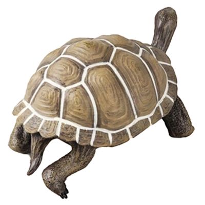 Beaupretty Lifelike Tortoise Figurine Plastic Turtle Sculpture Educational for Animal Model Desktop Decor and Landscape Ornament