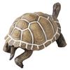 Beaupretty Lifelike Tortoise Figurine Plastic Turtle Sculpture Educational for Animal Model Desktop Decor and Landscape Ornament view 1