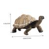 Beaupretty Lifelike Tortoise Figurine Plastic Turtle Sculpture Educational for Animal Model Desktop Decor and Landscape Ornament view 2