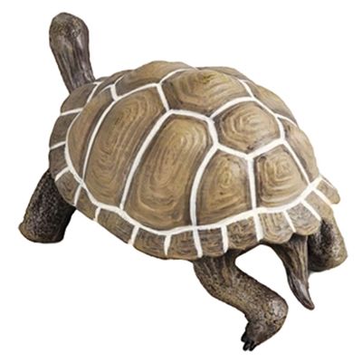 Beaupretty Realistic Simulated Tortoise Model for Lifelike Plastic Turtle Figurine with Bright Colors Animal Ornament for Home Garden Party Gift and Early Learning