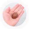 Toddmomy 8pcs Artificial Chocolate Model Realistic Fake Chocolates for Kitchen Wedding Mall Display Decoration Photography Prop view 3