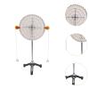 Balance Toy Balance Physics Toy for Indoor Outdoor Improves Fine Skills Gift view 2