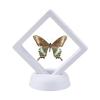 50 Pcs Square 3D Floating Frames  Home Decoration Holders for Jewelry, Coins, Shells & Gem Specimens(White) view 2