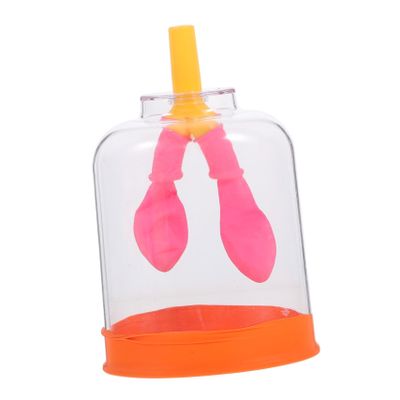 Abaodam Human Lung Breathing Aid Model Lightweight Portable Educational Lung Simulator for Scientific Experiments Teaching Human Body Organs Anatomy Learning Tool Random Color