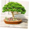 BESPORTBLE Miniature Farm Landscape Props Farm with Plastic Picket Fence and Tree Ornaments and Play view 2