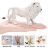 THINKBAY 6PCS White Lion Toys Figurines Pride, African Jungle Animals Lion Family, Realistic Zoo Animal Toys, Preschool Toy Birthday Gift Cake Toppers for Kids Boys Girls view 4