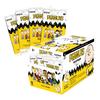 Cryptozoic Entertainment Peanuts Playpaks: 75 Years (24-Pack Display) view 1
