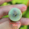 130 Planetary Full Gearbox Gear Reduction electronic starter DC 6V 9V 12V 72RPM Carbon Brush electronic starter Long Shaft 66mm DIY Toy view 3