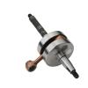 Scooter Racing Crankshaft for 50 at Bu Bo City So Gp1 Variant Sport50cc 2T 4316255 100030201 view 2
