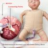buyzg Female Pelvis Childbirth Model,Childbirth Demonstration Pelvic Model,Umbilical Cord/Placenta-Childbirth Simulator for Study Display Teaching Medical(B) view 2