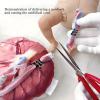 buyzg Female Pelvis Childbirth Model,Childbirth Demonstration Pelvic Model,Umbilical Cord/Placenta-Childbirth Simulator for Study Display Teaching Medical(B) view 4
