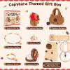 Achwishap Capybara Gifts Box,Light-up Capybara Plush Stuffed Animal for Girls 3-5 6 7 8 9 10 11+ Years,Kids Birthday Capybaras Plush Set with Capybaras Shoulder Bag Keychain Comb Jewelry for Valentine view 2