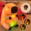 Achwishap Capybara Gifts Box,Light-up Capybara Plush Stuffed Animal for Girls 3-5 6 7 8 9 10 11+ Years,Kids Birthday Capybaras Plush Set with Capybaras Shoulder Bag Keychain Comb Jewelry for Valentine view 4