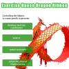 BPGSLYX 3D Dragon Poi Streamer Outdoor Square Exercise, Multi-Patterned Dragon Dance Ribbon Streamer for Wu Long (12m,Single-Sided Bronzing, red) view 4