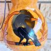 Black Raven Thunder Gourd Drum: Unique Handmade Musical Instrument view 3