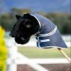 LeMieux Hobby Horse Spike - Handsome Black - Realistic Head - Perfect for Kids view 2