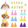 12pcs Mini Party Hats for Stuffed AnimalsPet Birthday Party Hats Dolls Dog Cat Rabbit Puppies Assorted Animal Birthday Decorations with Gold Numbers view 1